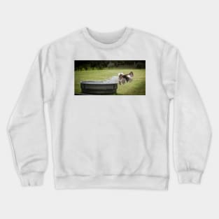 Eagle Splash Crewneck Sweatshirt